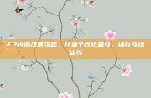 F3内饰改装攻略,打造个性化座驾,提升驾驶体验
