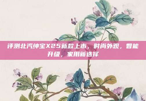 评测北汽绅宝X25新款上市,时尚外观,智能升级,家用新选择