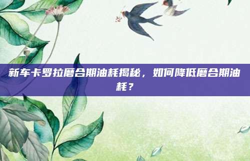 新车卡罗拉磨合期油耗揭秘,如何降低磨合期油耗?