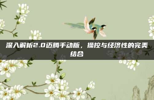 深入解析2.0迈腾手动版,操控与经济性的完美结合