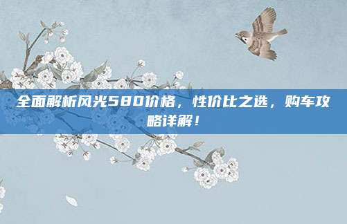 全面解析风光580价格,性价比之选,购车攻略详解!