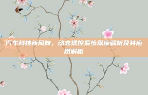 汽车科技新风向,动态操控系统深度解析及其应用解析