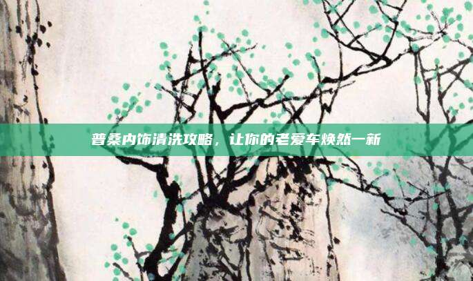 普桑内饰清洗攻略,让你的老爱车焕然一新