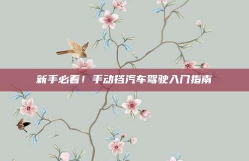 新手必看!手动挡汽车驾驶入门指南