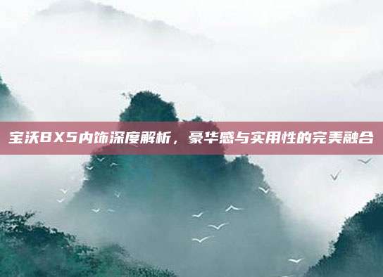 宝沃BX5内饰深度解析,豪华感与实用性的完美融合