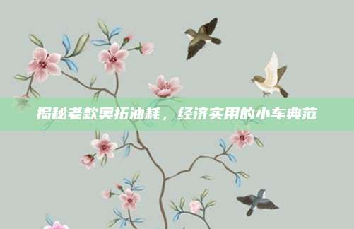 揭秘老款奥拓油耗,经济实用的小车典范