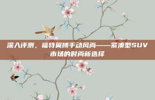 深入评测,福特翼搏手动风尚——紧凑型SUV市场的时尚新选择