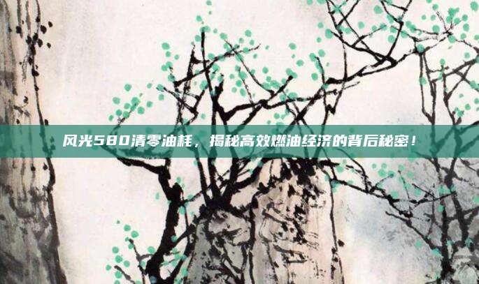 风光580清零油耗,揭秘高效燃油经济的背后秘密!