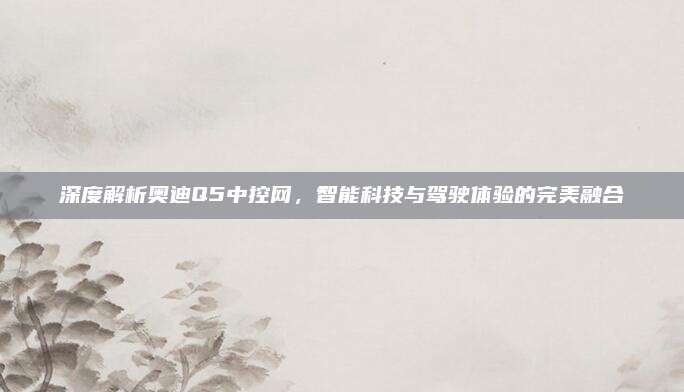 深度解析奥迪Q5中控网,智能科技与驾驶体验的完美融合