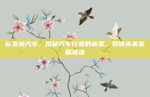 新发地汽车,揭秘汽车行业的新星,引领未来发展潮流