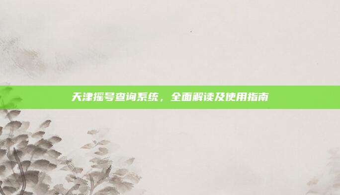 天津摇号查询系统,全面解读及使用指南