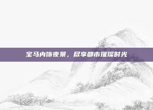 宝马内饰夜景,尽享都市璀璨时光