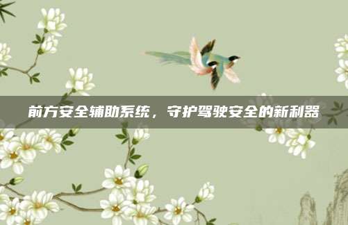 前方安全辅助系统,守护驾驶安全的新利器