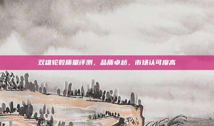 双雄轮毂质量评测,品质卓越,市场认可度高