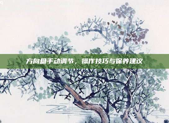 方向盘手动调节,操作技巧与保养建议