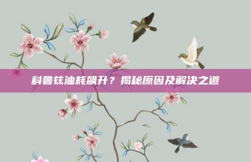 科鲁兹油耗飙升?揭秘原因及解决之道