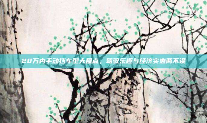 20万内手动挡车型大盘点,驾驭乐趣与经济实惠两不误