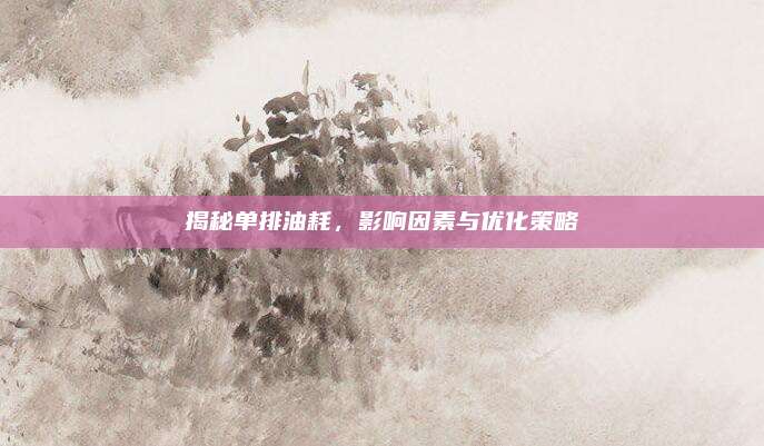 揭秘单排油耗,影响因素与优化策略