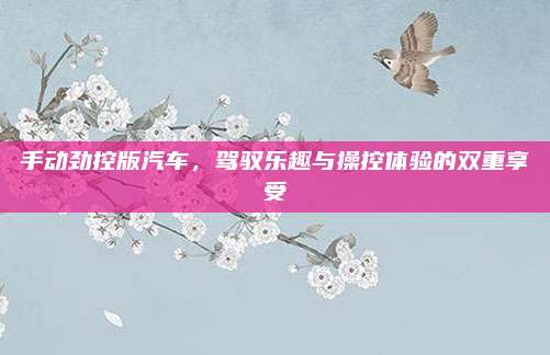 手动劲控版汽车,驾驭乐趣与操控体验的双重享受