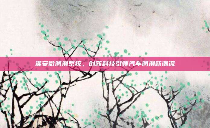 淮安微润滑系统,创新科技引领汽车润滑新潮流
