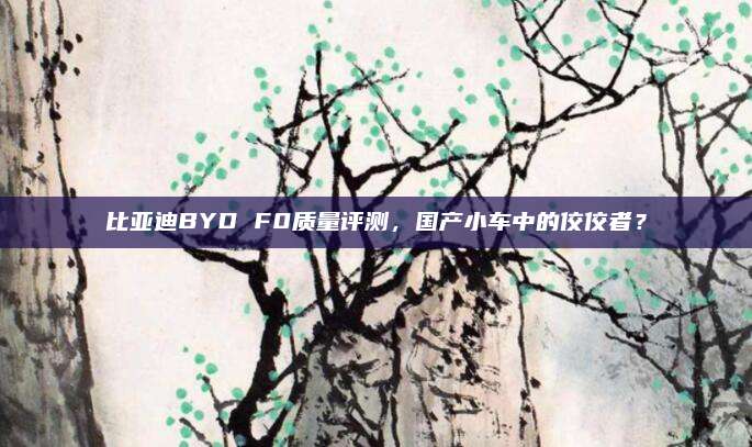 比亚迪BYD F0质量评测,国产小车中的佼佼者?