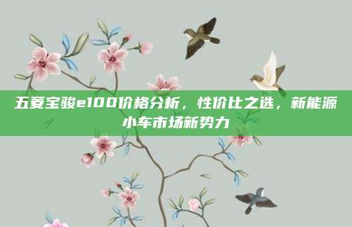 五菱宝骏e100价格分析,性价比之选,新能源小车市场新势力