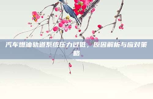 汽车燃油轨道系统压力过低,原因解析与应对策略