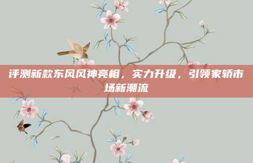 评测新款东风风神亮相,实力升级,引领家轿市场新潮流