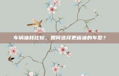 车辆油耗比较,如何选择更省油的车型?