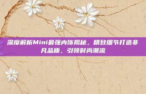 深度解析Mini最强内饰揭秘,精致细节打造非凡品质,引领时尚潮流