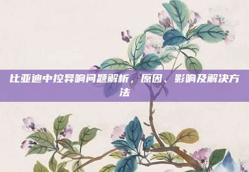 比亚迪中控异响问题解析,原因、影响及解决方法