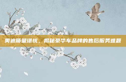 奥迪质量堪忧，揭秘豪华车品牌的售后服务难题