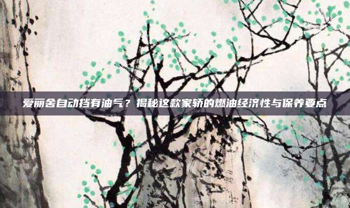 爱丽舍自动挡有油气?揭秘这款家轿的燃油经济性与保养要点