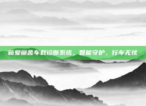 新爱丽舍车载诊断系统,智能守护,行车无忧