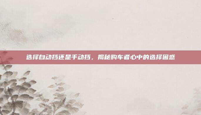 选择自动挡还是手动挡,揭秘购车者心中的选择困惑