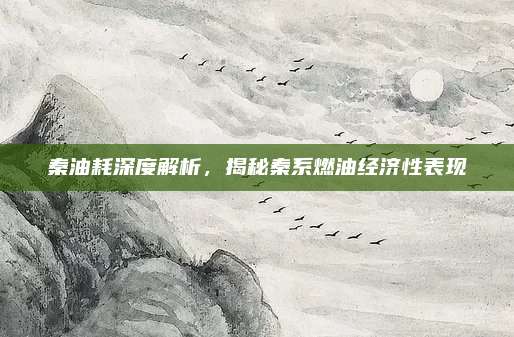 秦油耗深度解析,揭秘秦系燃油经济性表现
