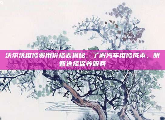 沃尔沃维修费用价格表揭秘,了解汽车维修成本,明智选择保养服务