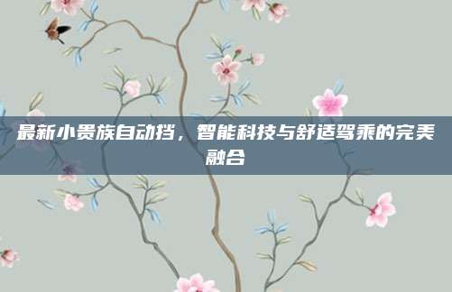 最新小贵族自动挡,智能科技与舒适驾乘的完美融合