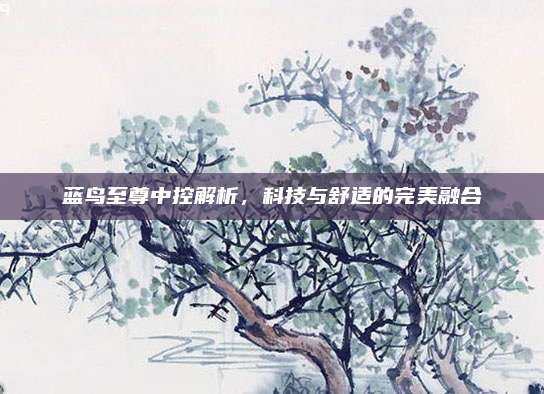 蓝鸟至尊中控解析,科技与舒适的完美融合