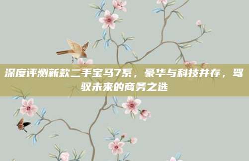 深度评测新款二手宝马7系,豪华与科技并存,驾驭未来的商务之选