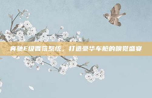 奔驰E级香氛系统,打造豪华车舱的嗅觉盛宴