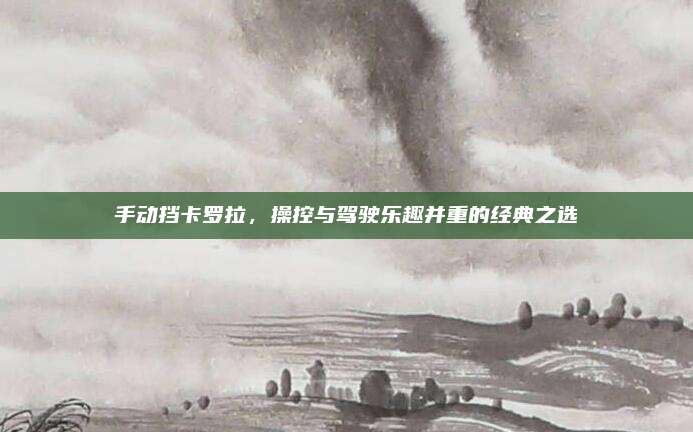 手动挡卡罗拉,操控与驾驶乐趣并重的经典之选
