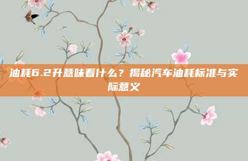 油耗6.2升意味着什么?揭秘汽车油耗标准与实际意义