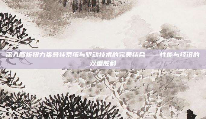 深入解析扭力梁悬挂系统与驱动技术的完美结合——性能与经济的双重胜利