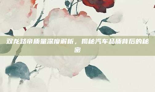 双龙路帝质量深度解析,揭秘汽车品质背后的秘密