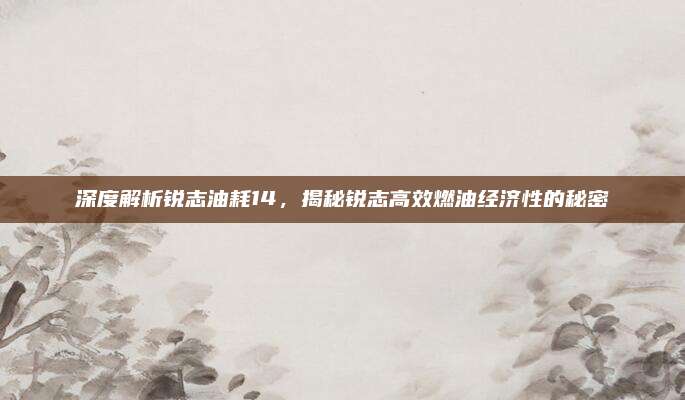 深度解析锐志油耗14,揭秘锐志高效燃油经济性的秘密