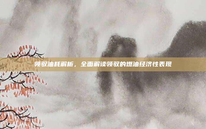 领驭油耗解析,全面解读领驭的燃油经济性表现