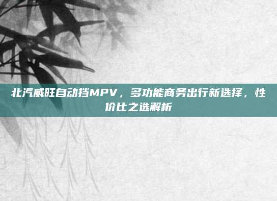 北汽威旺自动挡MPV,多功能商务出行新选择,性价比之选解析