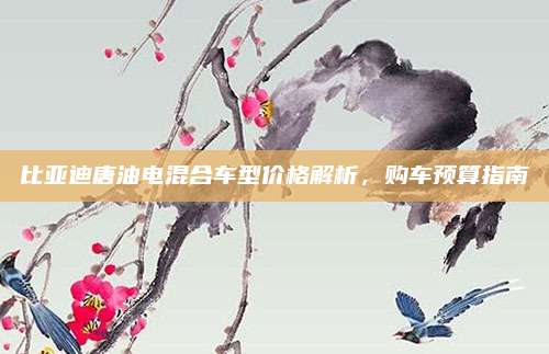 比亚迪唐油电混合车型价格解析,购车预算指南