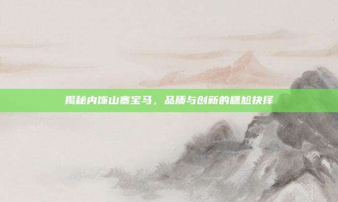 揭秘内饰山寨宝马,品质与创新的尴尬抉择